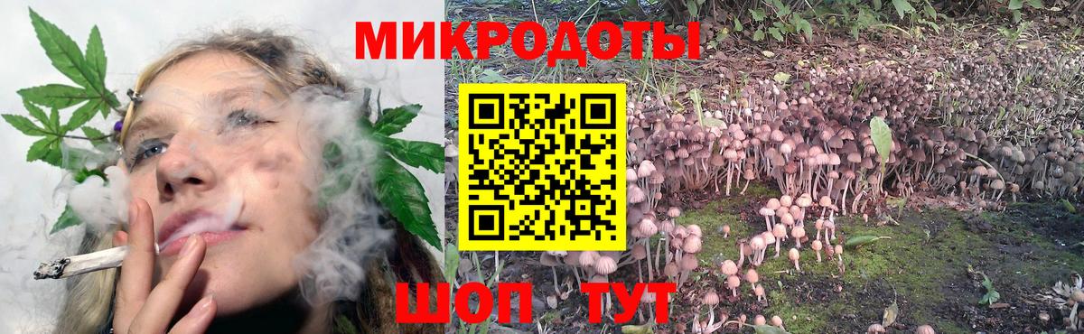Галлюциногенные грибы прущие грибы  Вход с VPN  Кемерово 